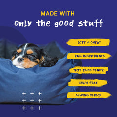 Dog relaxing scene with PupGrade chews indicating mood and calmness.