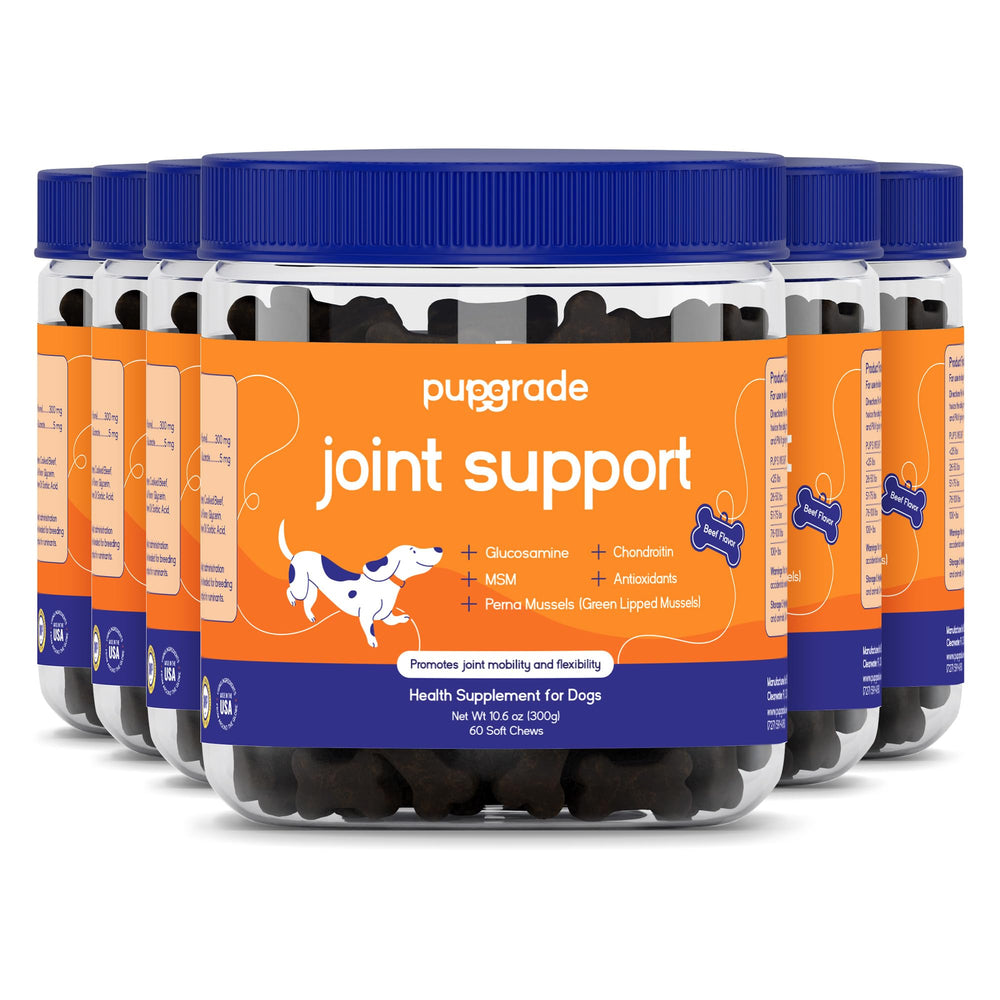 PupGrade joint-support soft chews bottle, 360-count, for daily canine mobility.
