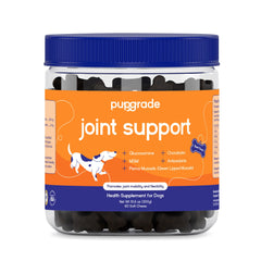 PupGrade Joint Support Soft Chews; beef flavor for dogs, supports daily mobility.