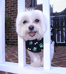 Puppy Bumpers Blue Paw Prints neck detail showing secure attachment