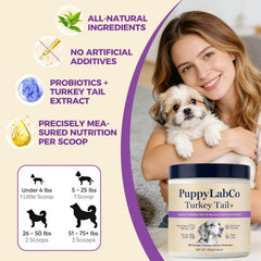 PuppyLabCo turkey tail close-up shows mushroom powder texture for daily use.