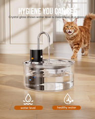 PuppySpout sensor mode activates water flow when the pet approaches