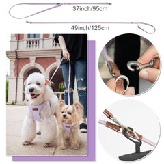 Puppytie multifunction leash shows two lengths for one or two dogs on outings.