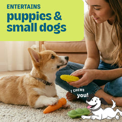 Pupstages Flex-Force pea pod toy with textured surfaces for curiosity.