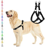 PUPTECK no-pull harness side view reduces neck pressure during daily walks.