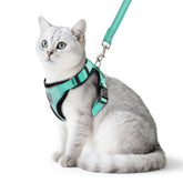 PUPTECK cat harness aquamarine on cat for comfortable daily walks
