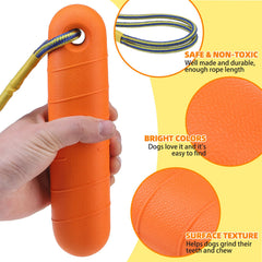 PUPTECK dock-diving style toy for water-based fetch training