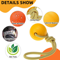 PUPTECK EVA durable toy with textured surface for secure grip during play.