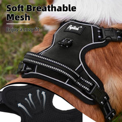 PUPTECK Adjustable buckle ensures easy on and off.
