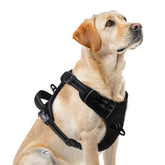PUPTECK No Pull Harness front D-ring enables gentler, tug-free walks.