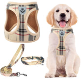 PUPTECK step-in harness in breathable mesh for small dogs, comfortable all-day wear.