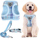PUPTECK step-in no-pull harness shown for quick on/off daily walks.