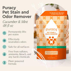 Puracy cleaner applied to carpet fibers shows stain removal action.
