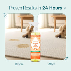 Puracy label close-up highlights a plant-based, enzyme cleaning formula.