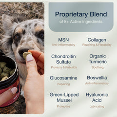 Pure Dogs Hip & Joint chews ingredients scene features glucosamine and green-lipped mussel.