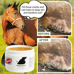 Applying Pure Sole Hoof Wax to cracks to seal and protect the hoof.