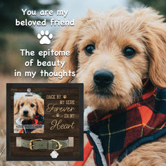 PureFly 9x9 inch memorial frame for cherished pet photos.