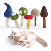 PURETOY mushroom catnip toy set engages cats with varied textures for interactive play.