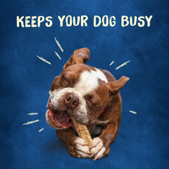 Purina Busy Chewnola inner center taste enhances palatability and chew time