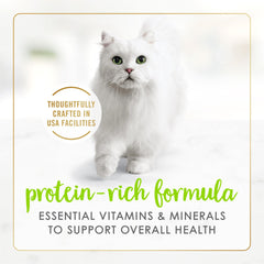 Purina Fancy Feast Salmon Gravy Pate texture emphasizes protein-rich options for adult cats.
