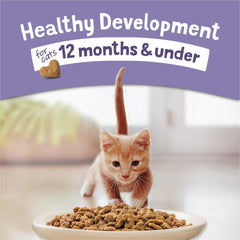 Purina Kitten Chow protein-rich kibble image supports growth and play