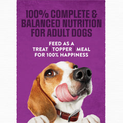 Purina Moist & Meaty real beef chunks close-up highlighting flavor appeal