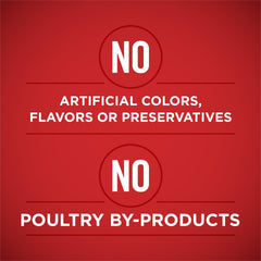 Purina ONE chicken chunks close-up, showcasing high-protein real meat.