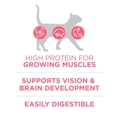 Purina ONE dha brain vision development close-up highlights cognitive growth
