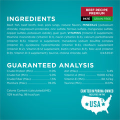 Purina ONE high protein grain free pate beef cans close-up