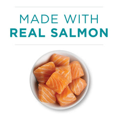 Purina ONE Tender Salmon in Sauce texture closeup shows tender morsels for satisfying meals.