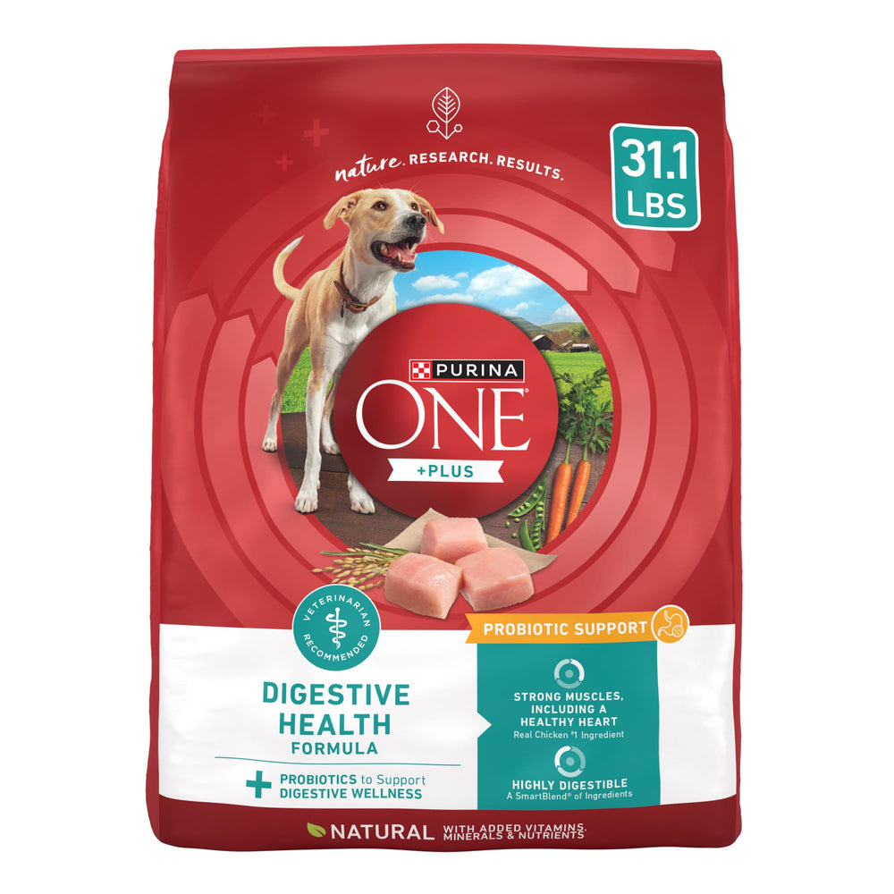 Purina ONE Plus Digestive Health 31lb bag, easy-to-store packaging for daily feeding.