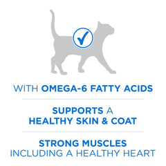 Purina ONE Plus kibble closeup—crunchy texture cats love at mealtime.