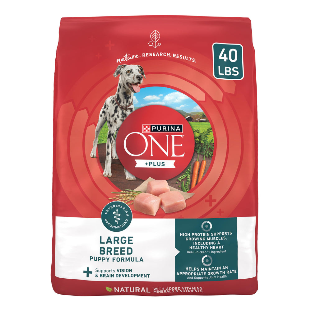 Purina ONE Plus Large Breed Puppy Food bag showing high-protein recipe for growing dogs