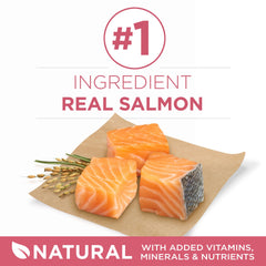 Purina ONE +Plus real salmon first ingredient for taste and protein.