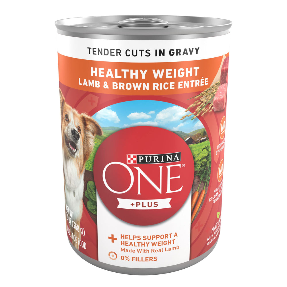 Purina ONE Plus Tender Cuts in Gravy with lamb chunks in gravy for adult dogs