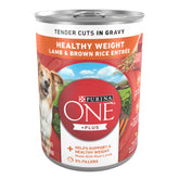 Purina ONE Plus Tender Cuts in Gravy with lamb chunks in gravy for adult dogs