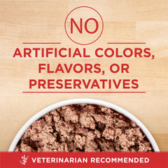 Purina ONE Plus turkey and barley entree pour close-up with rich pate texture
