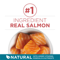 Purina ONE Tender Selects salmon-first recipe highlights protein for active cats