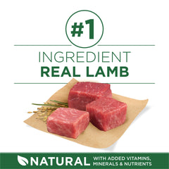 Purina ONE Small Breed Lamb and Rice morsels with crunchy bites