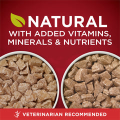Purina ONE variety-pack label highlights two high-protein flavors for dogs daily variety.