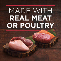 Purina ONE wet dog food for adults—complete nutrition with no artificial colors or preservatives.