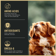 Purina Pro Plan Active 27/17 SPORT serving bowl demonstrates balanced nutrition for active dogs.