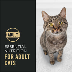 Purina Pro Plan Complete Essentials dry kibble and shreds texture in bowl.