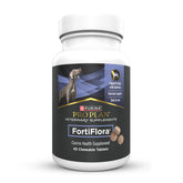 Purina Pro Plan FortiFlora dog tablets canister for supporting digestive balance