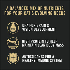 Purina Pro Plan High Protein Wet Cat Food Pate texture close-up reveals smooth, creamy mouthfeel