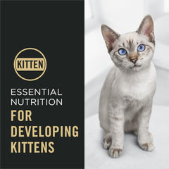 Purina Pro Plan dha-brain-vision supports cognitive development and alertness.