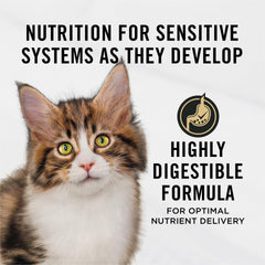 Purina Pro Plan kitten with salmon first ingredient supports muscle growth.