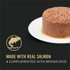 Purina Pro Plan pate texture close-up, smooth and inviting for cats