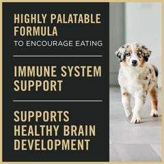 Purina Pro Plan Puppy Starter Mousse in a bowl illustrates easy eating for puppies
