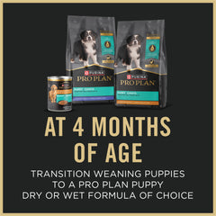 Purina Pro Plan Puppy Starter Mousse close-up with real chicken pieces emphasizing ingredients